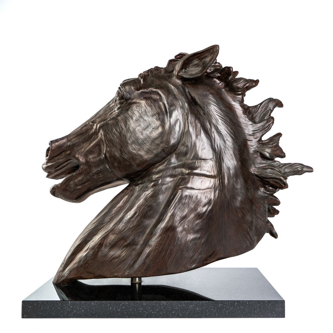 Equus Caballus