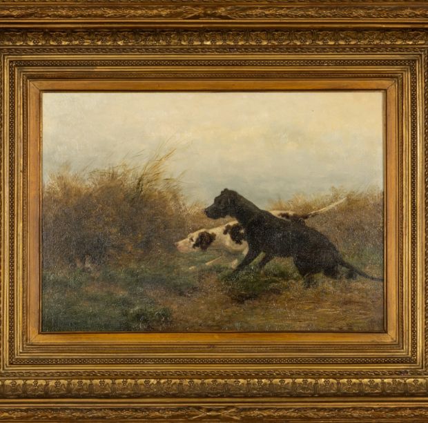 Gundog pair stalking grouse in cover