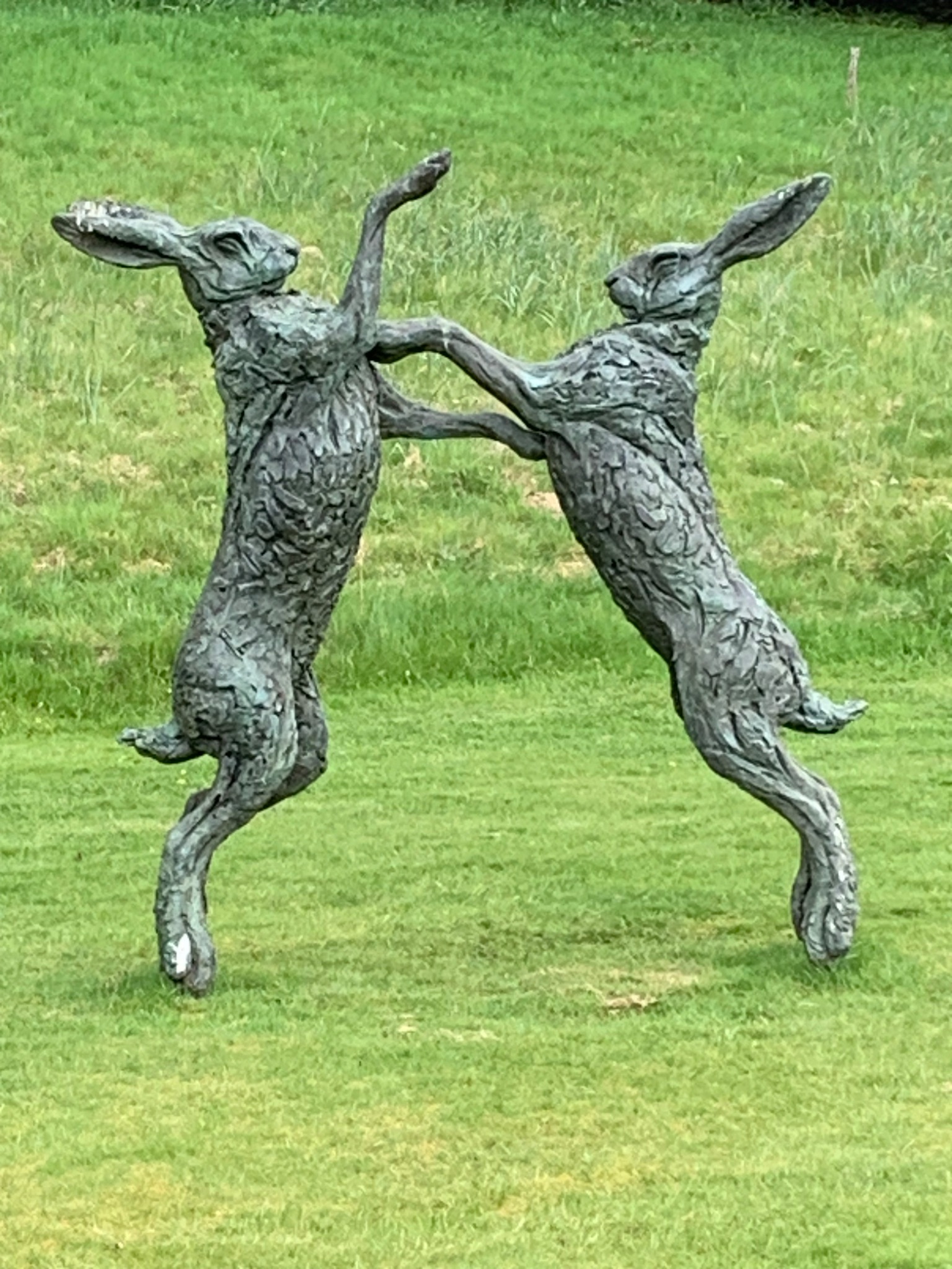 Boxing Hares