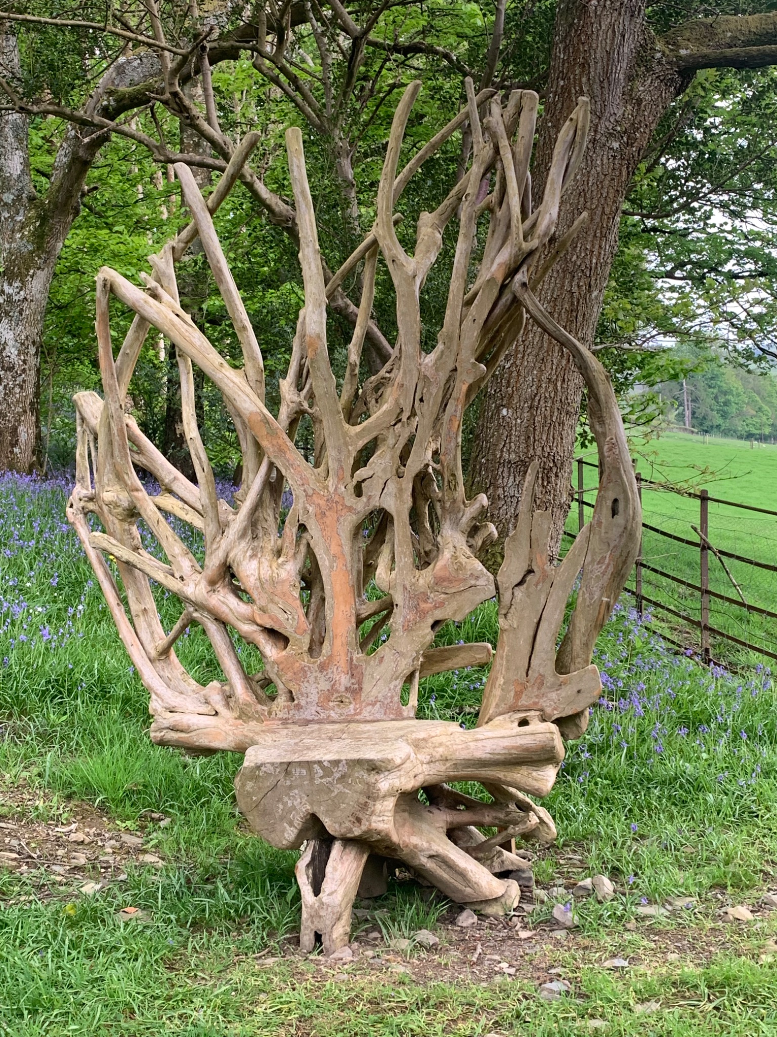 Mother Nature Teak throne