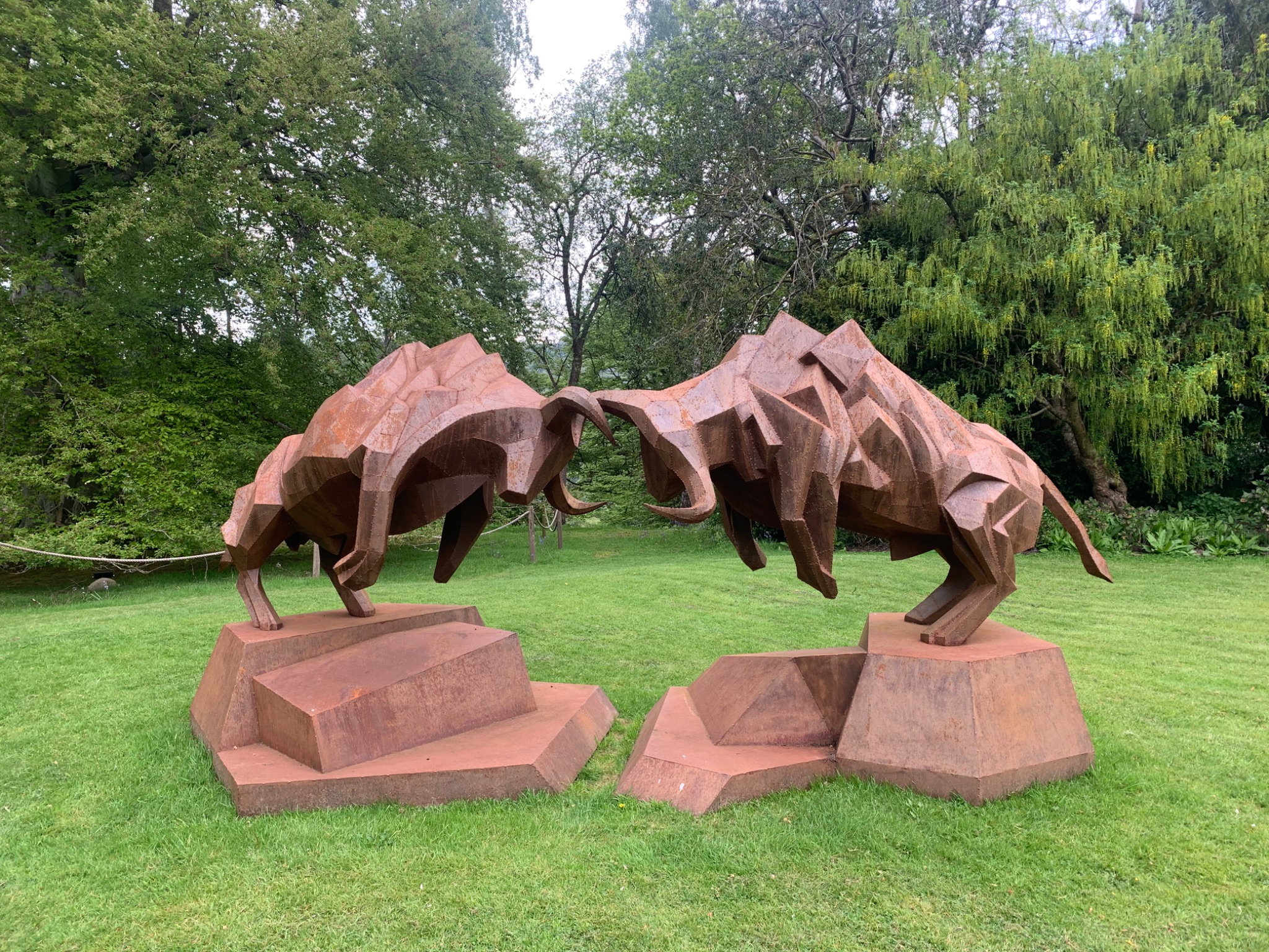 Bulls