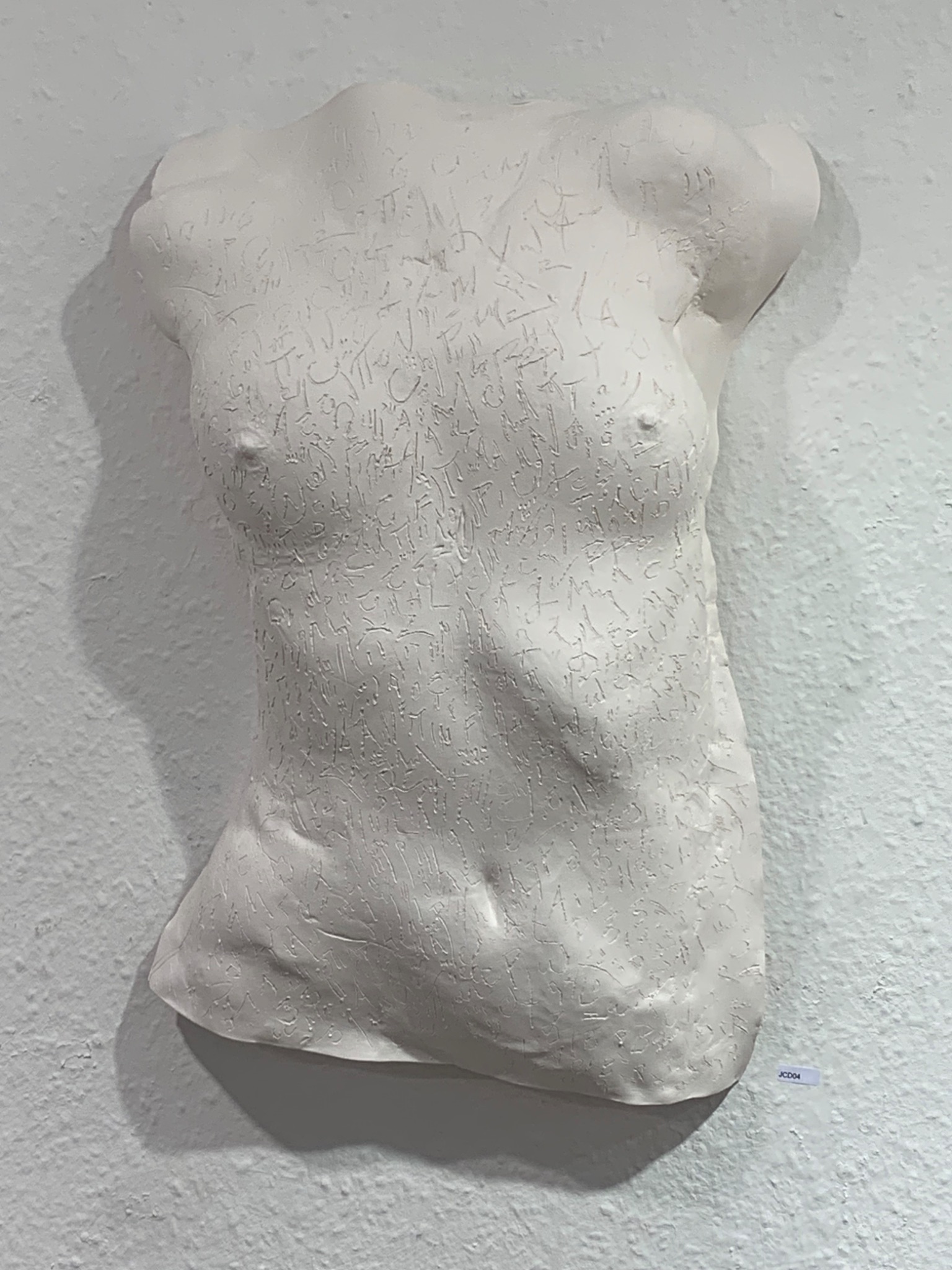 Female Torso with Text