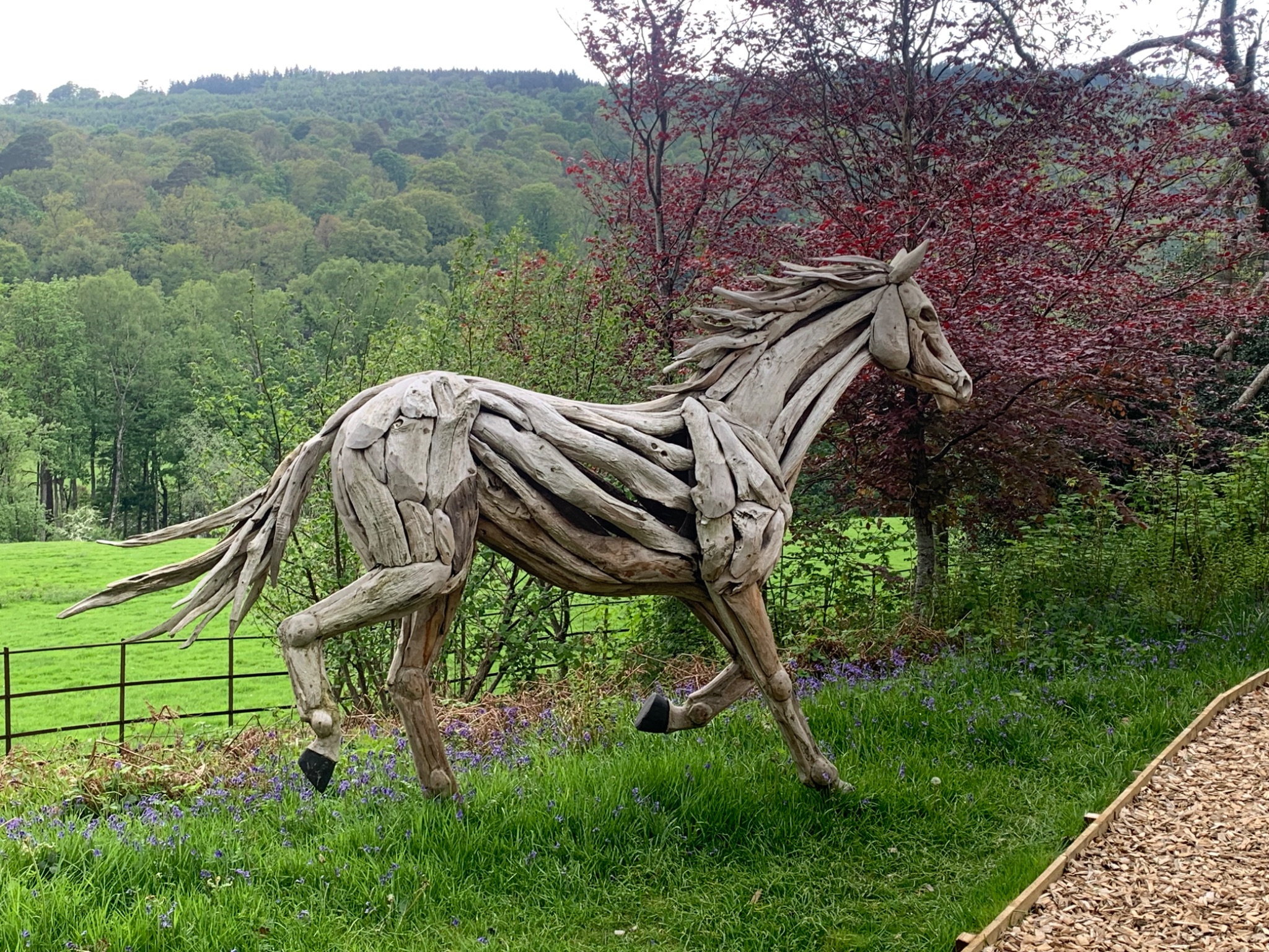 Driftwood teak horse
