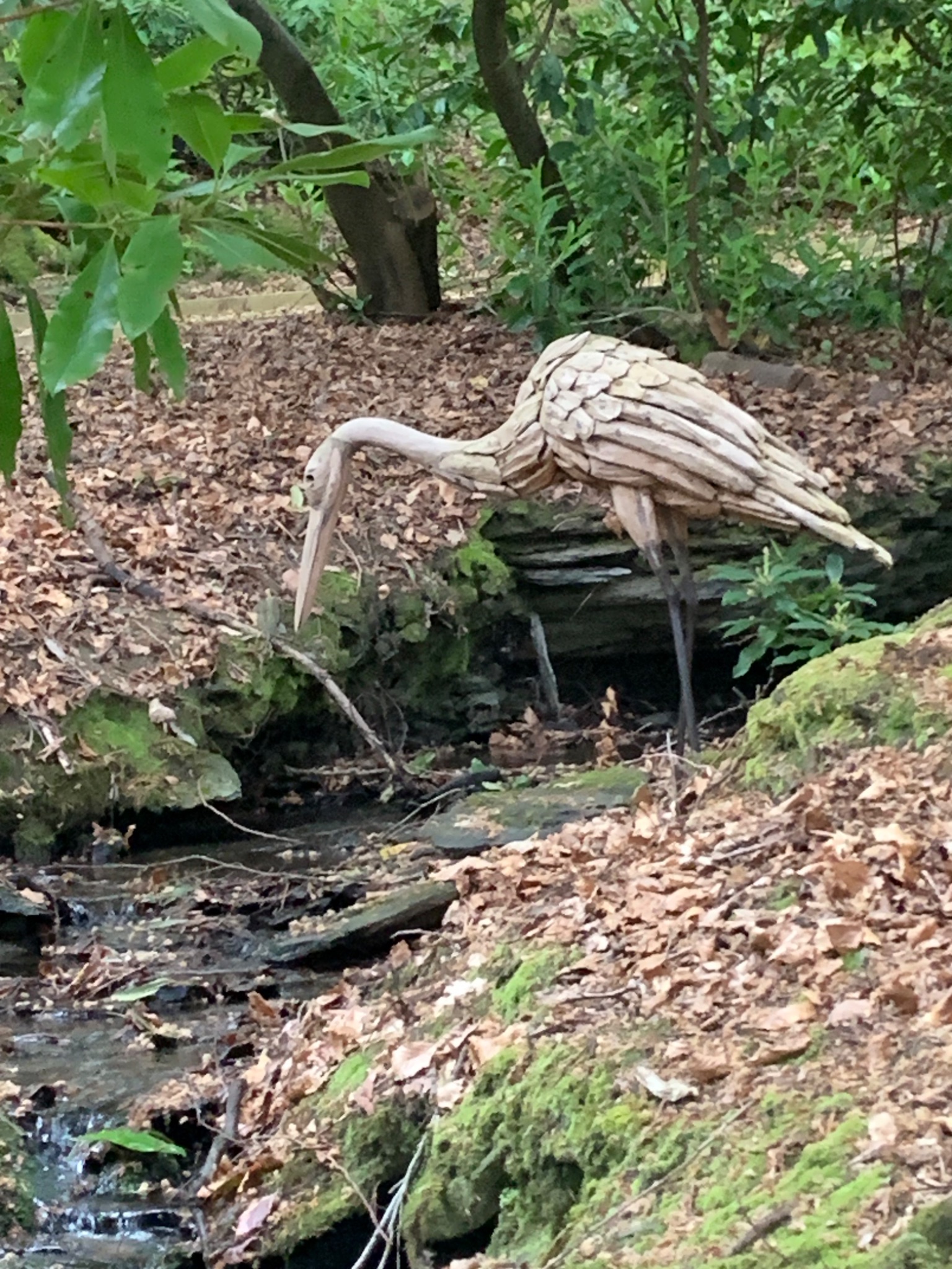 Driftwood Stoke